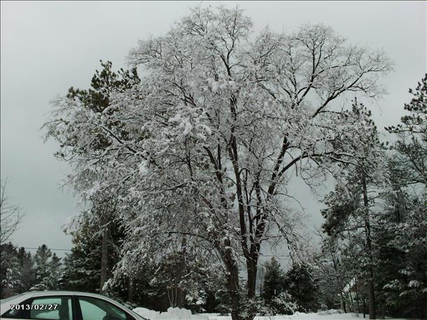 Beauty of Rogers City